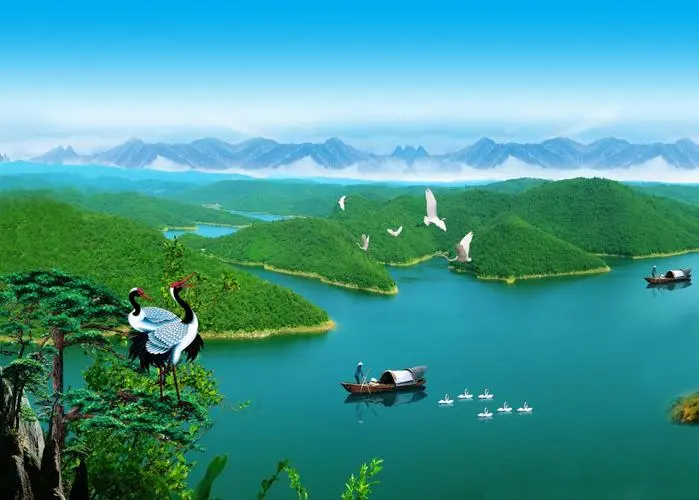 精密创意稳定性